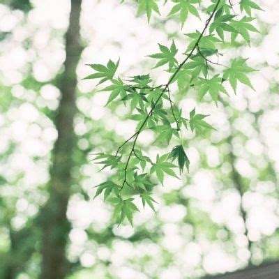 斗苍穹ol官方正版下载
